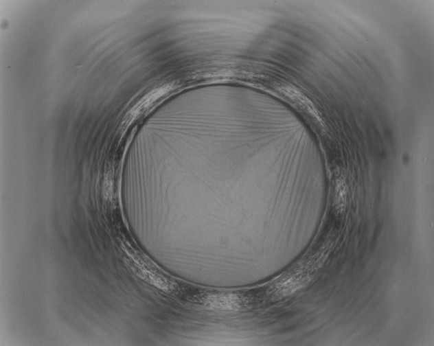 X0000087710882200705181842