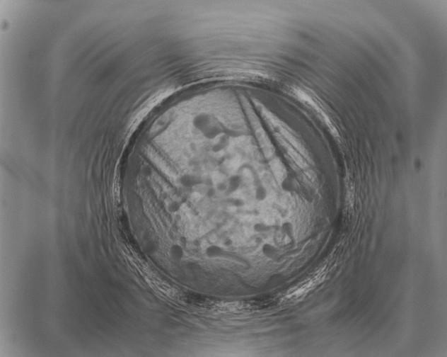 X0000087710883200705181842