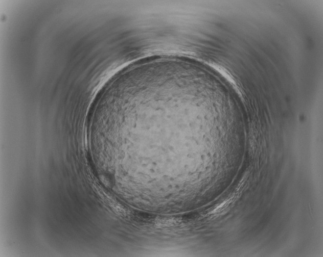 X0000087710887200705181842