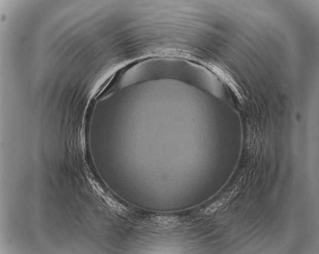 X0000087710888200705181842