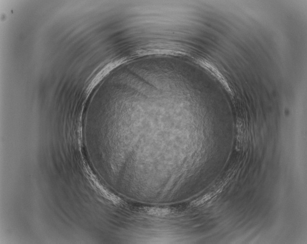 X0000087710890200705181842