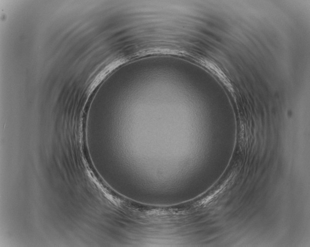 X0000087710898200705181842