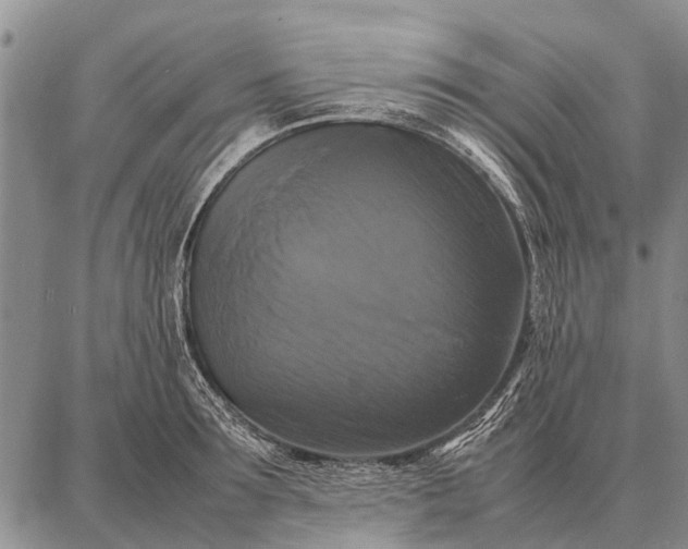 X0000087710899200705181842