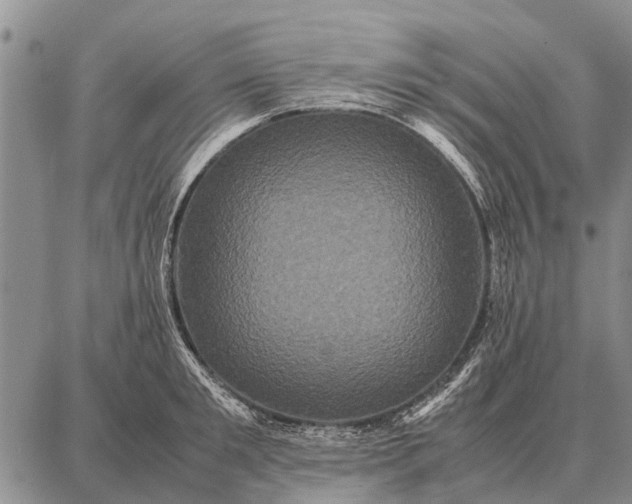 X0000087710901200705181841