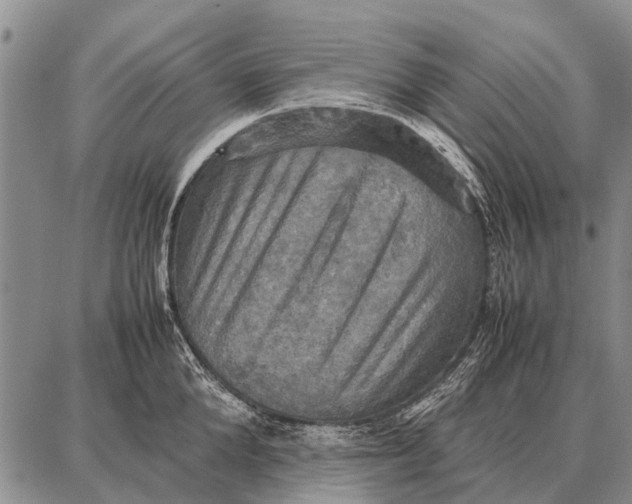 X0000087710904200705181841