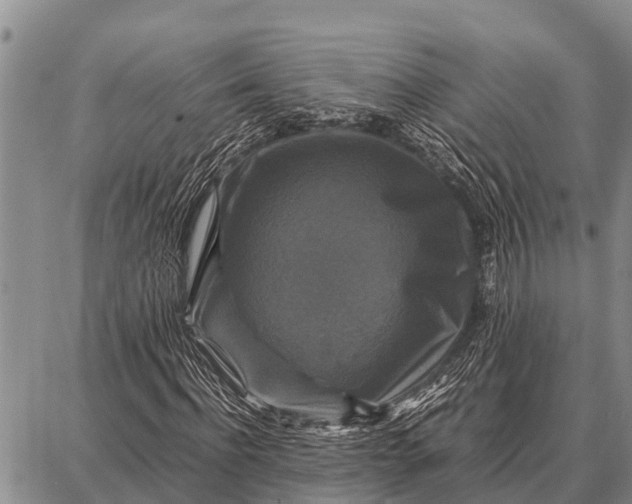 X0000087710916200705181841