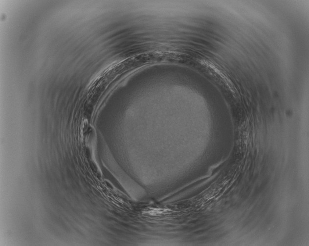 X0000087710919200705181841