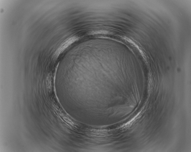 X0000087710921200705181841