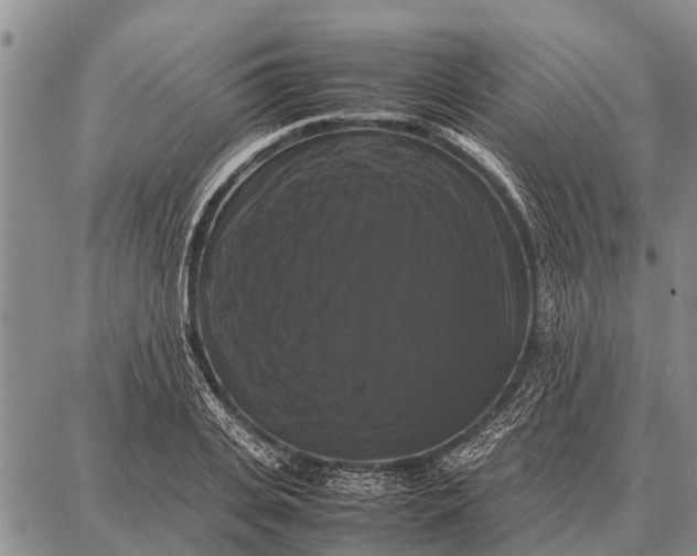 X0000087710935200705181841