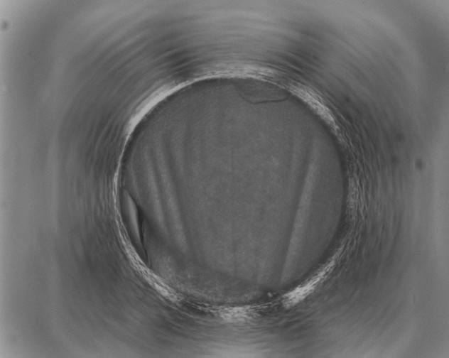 X0000087710936200705181841