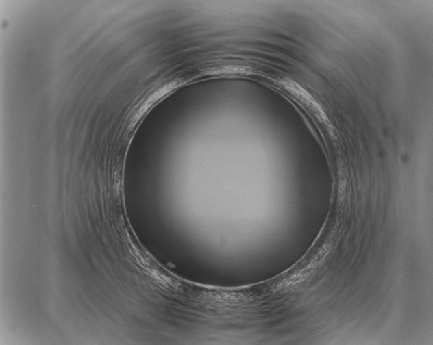 X0000087710945200705181841