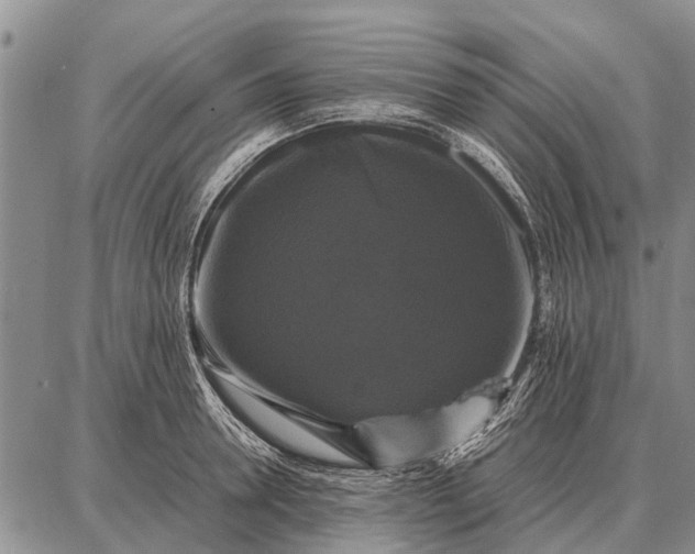 X0000087710946200705181841