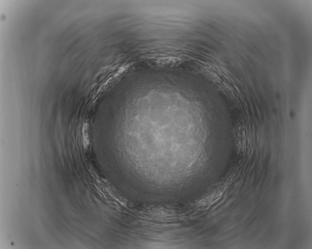 X0000087710962200705181841