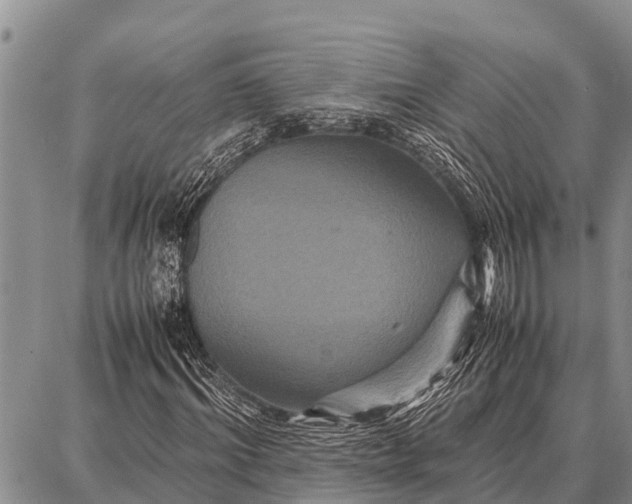 X0000087710964200705181840
