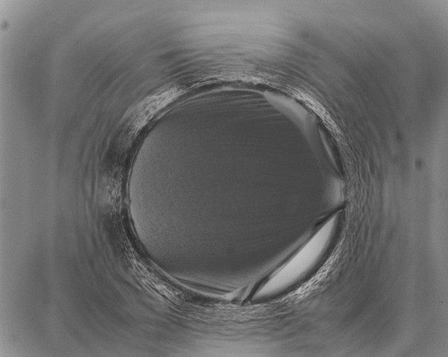 X0000087710977200705181840