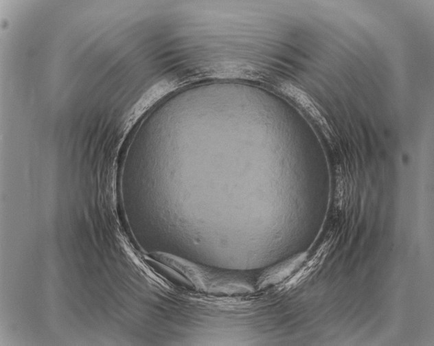 X0000087710986200705181840