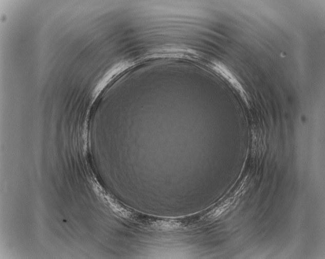 X0000087710994200705181840