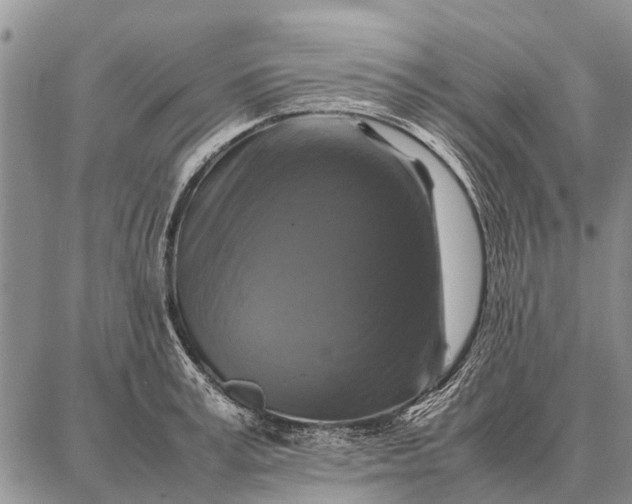 X0000087710995200705181840