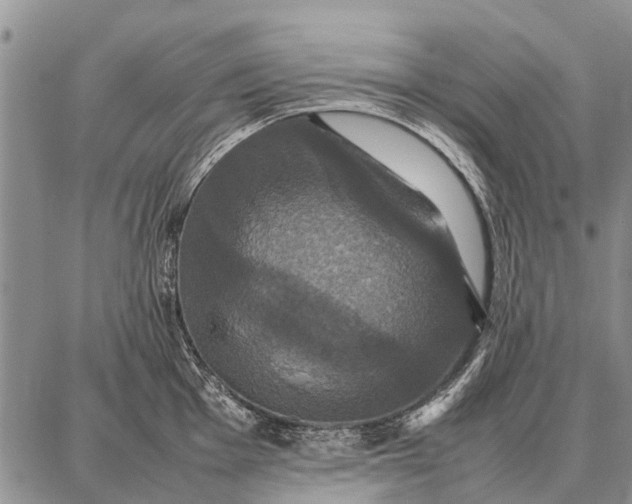X0000087711001200705181840
