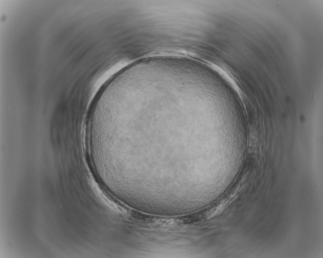 X0000087711003200705181840