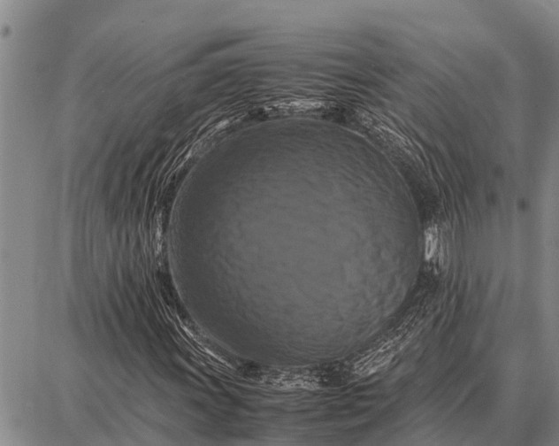X0000087711011200705181839