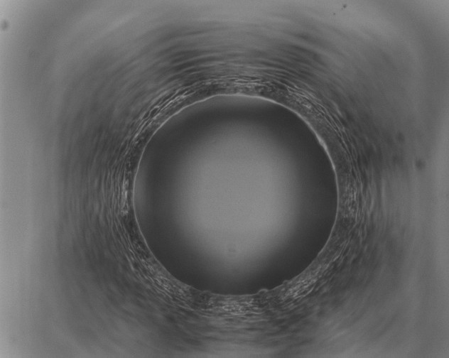 X0000087711013200705181839