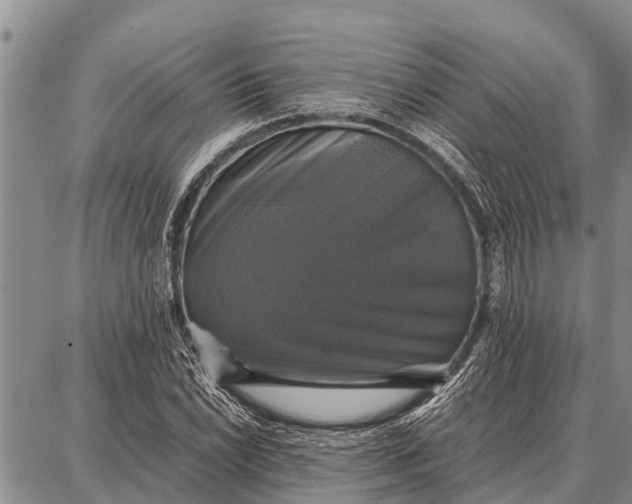 X0000087711022200705181839