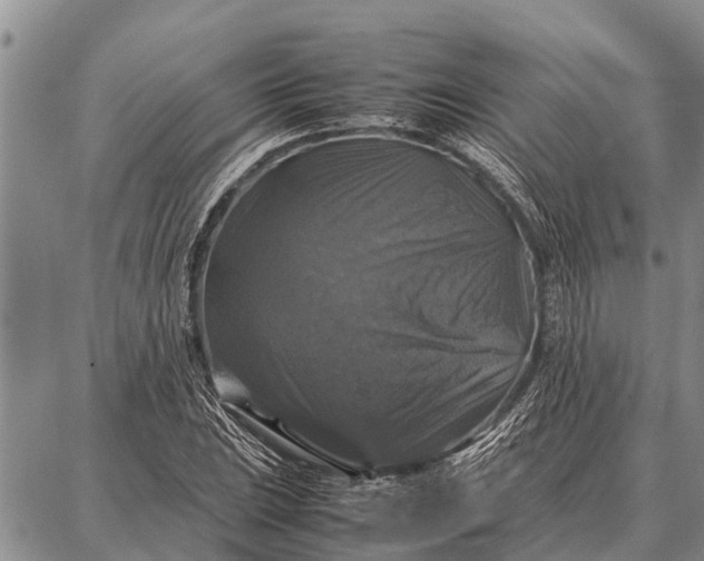 X0000087711023200705181839