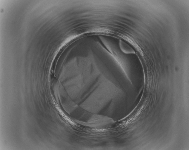X0000087711037200705181839