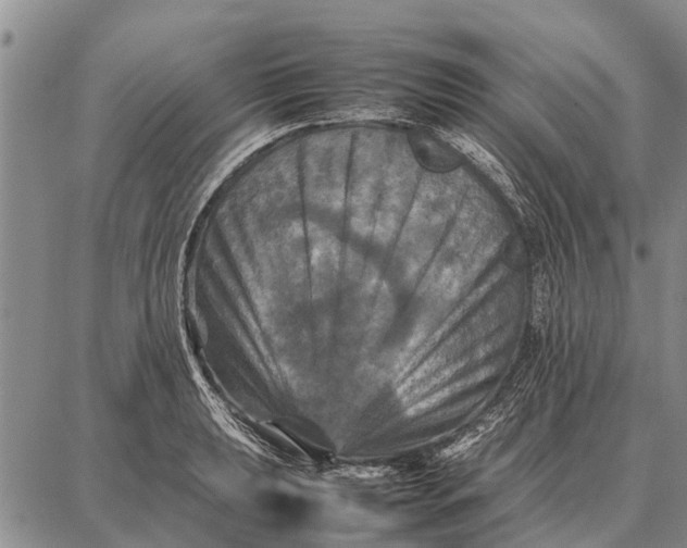 X0000087711039200705181839