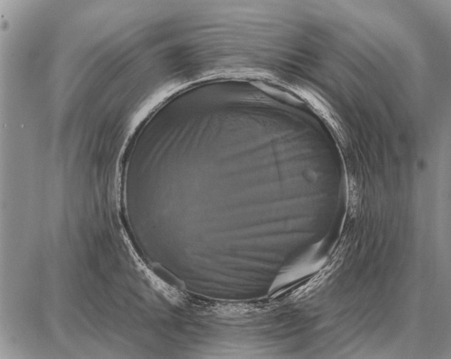 X0000087711046200705181840