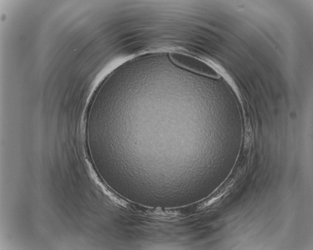 X0000087711053200705181840