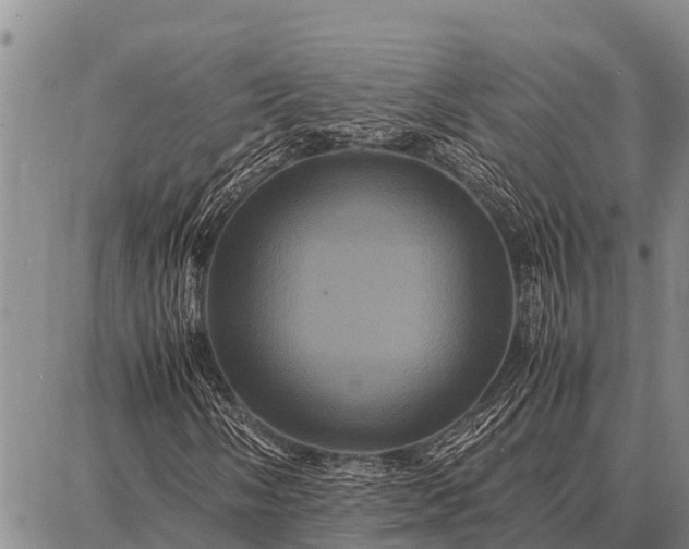 X0000087711058200705181839