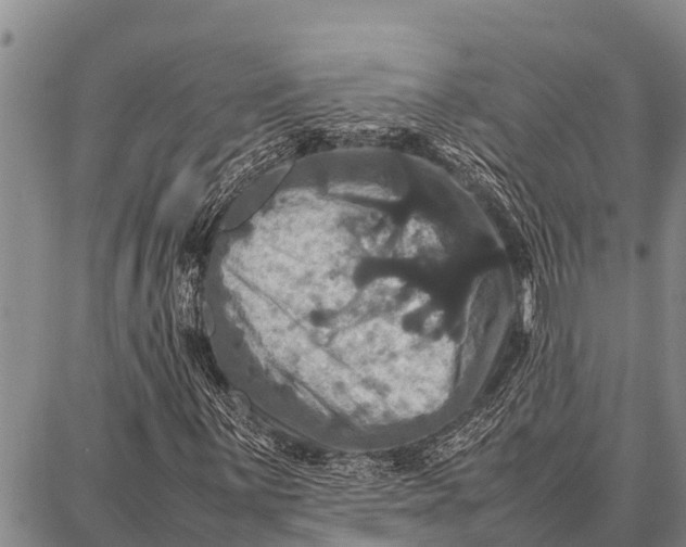 X0000087711059200705181839