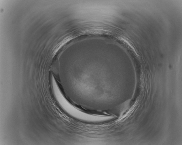 X0000087711065200705181839