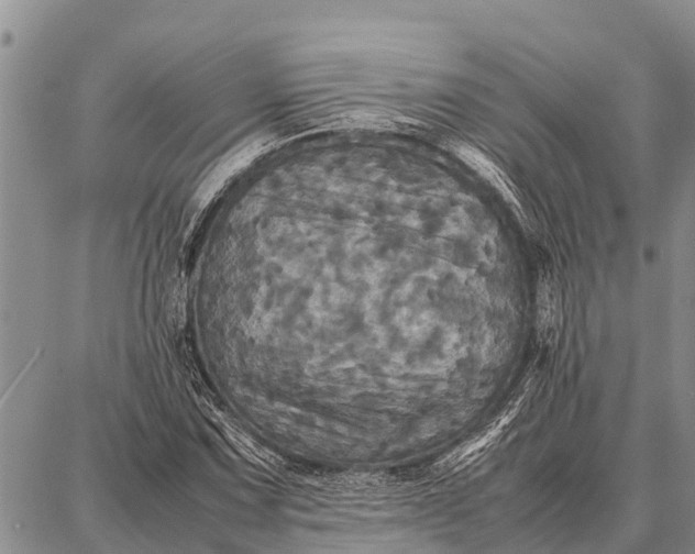 X0000087711067200705181839