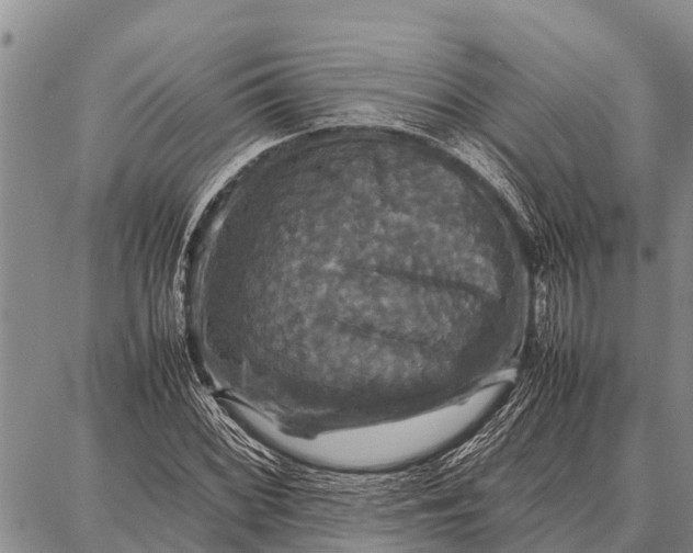 X0000087711068200705181839