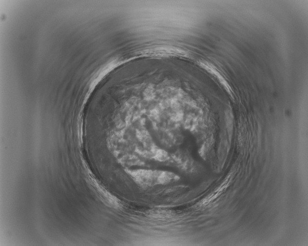 X0000087711083200705181839