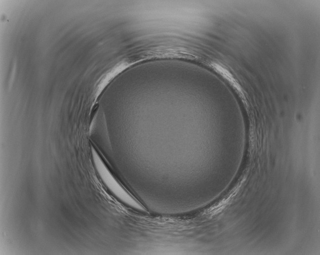 X0000087711089200705181838