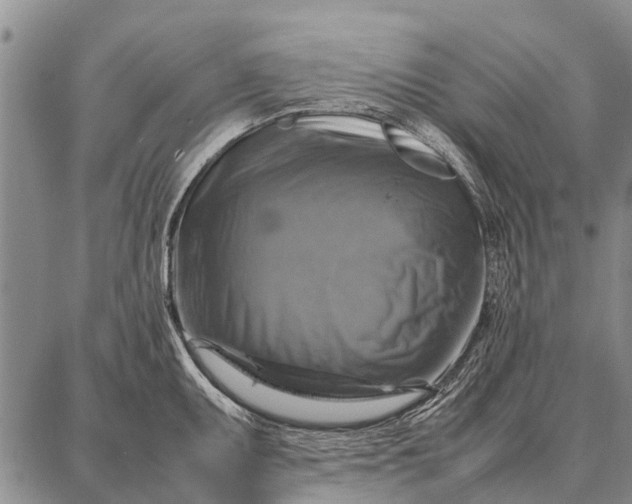 X0000087711095200705181838