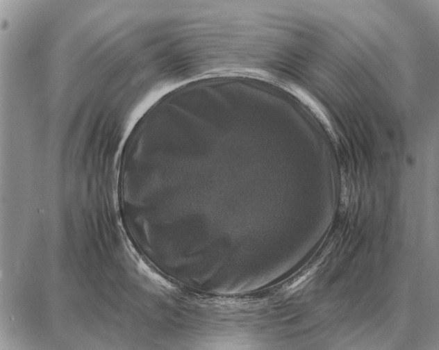 X0000087711102200705181838