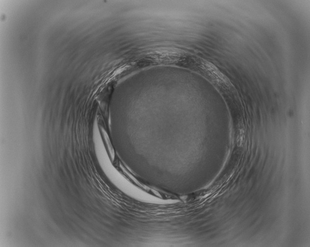 X0000087711108200705181837