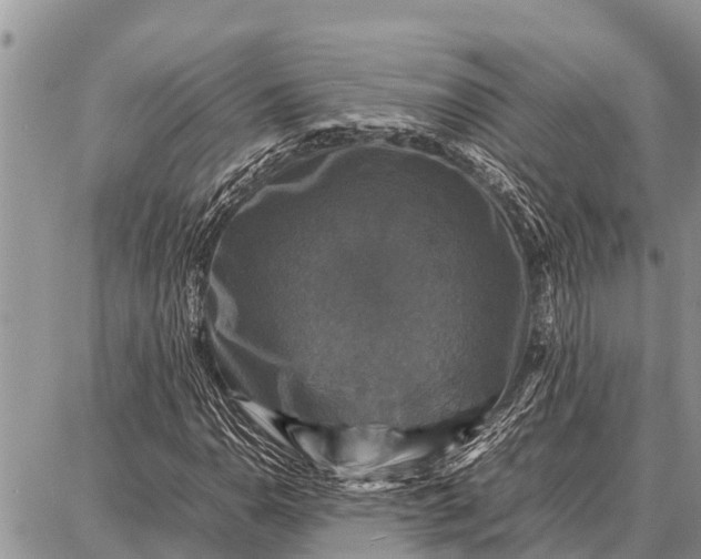 X0000087711110200705181837