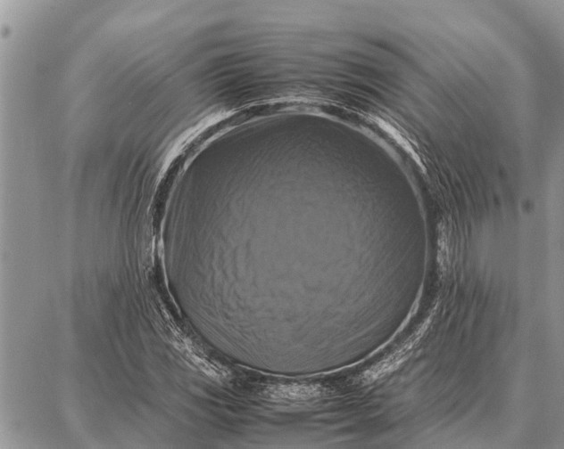 X0000087711117200705181838