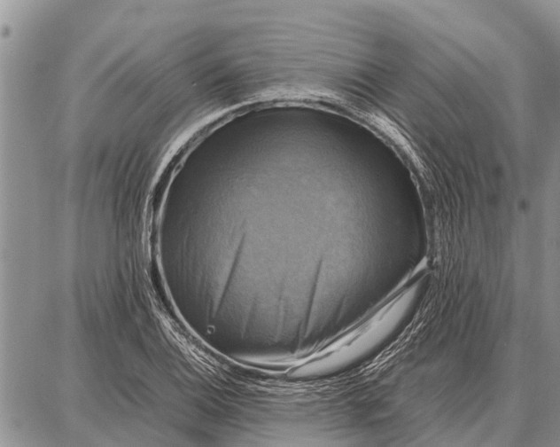 X0000087711124200705181838