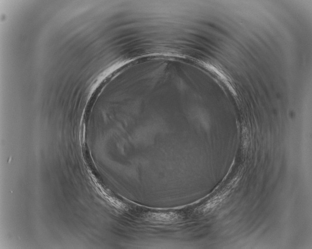 X0000087711125200705181838