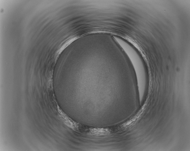 X0000087711137200705181838