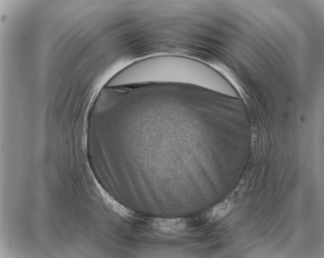 X0000087711143200705181838