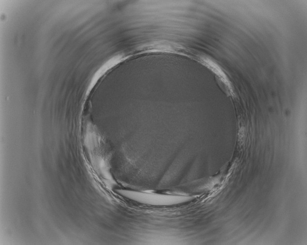 X0000087711146200705181838