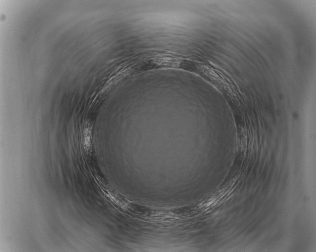 X0000087711154200705181837